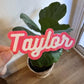 Holographic name sticker, sparkly girly name, Script Custom name, kids name sticker, personalized sticker, girly girl sticker, notebook name