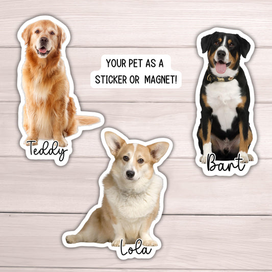 Dog Photo Sticker, Custom Pet Sticker, Custom Dog Stickers, Dog Name Sticker, Personalized Dog Sticker, Dog Stickers, animal, magnet, cat