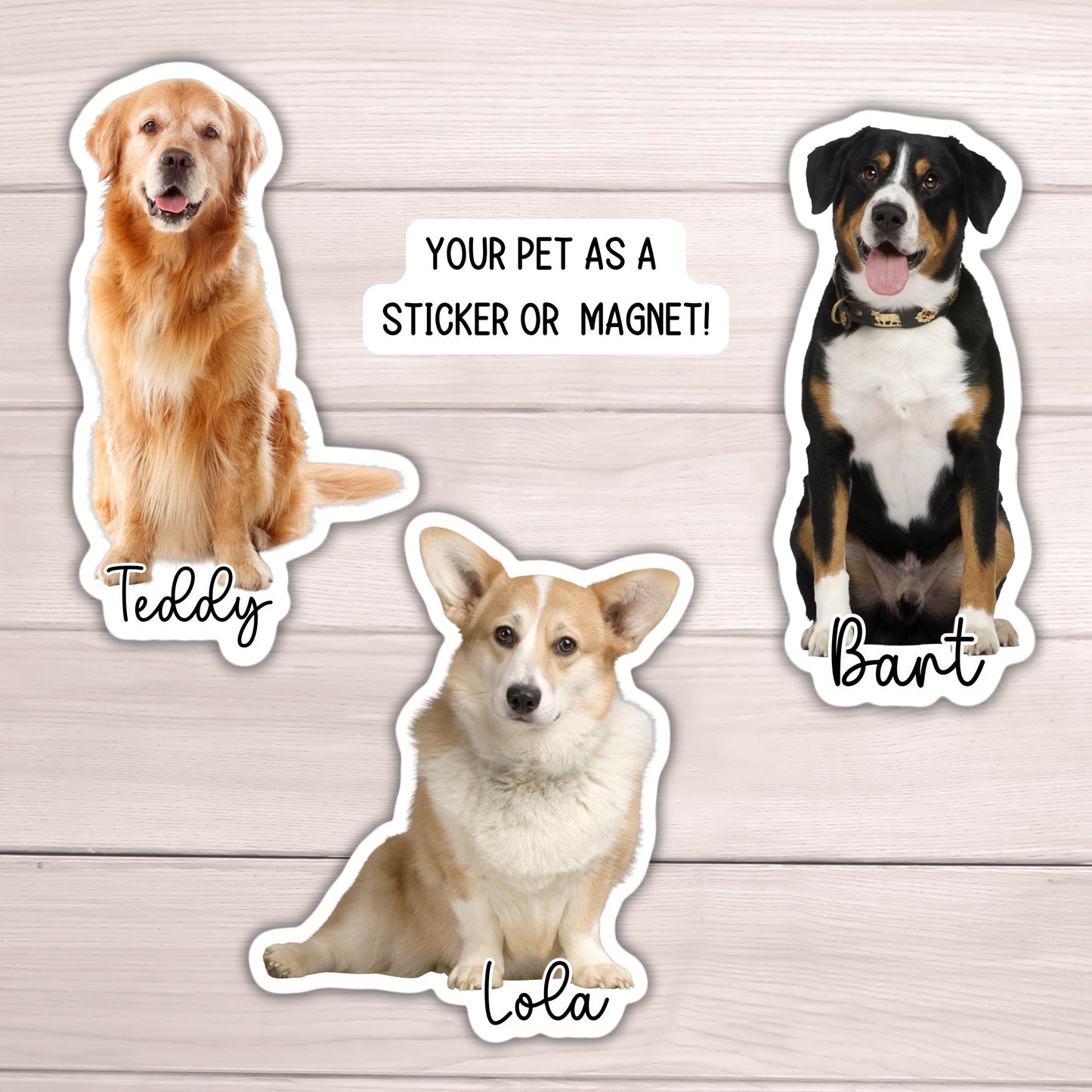 Dog Photo Sticker, Custom Pet Sticker, Custom Dog Stickers, Dog Name Sticker, Personalized Dog Sticker, Dog Stickers, animal, magnet, cat