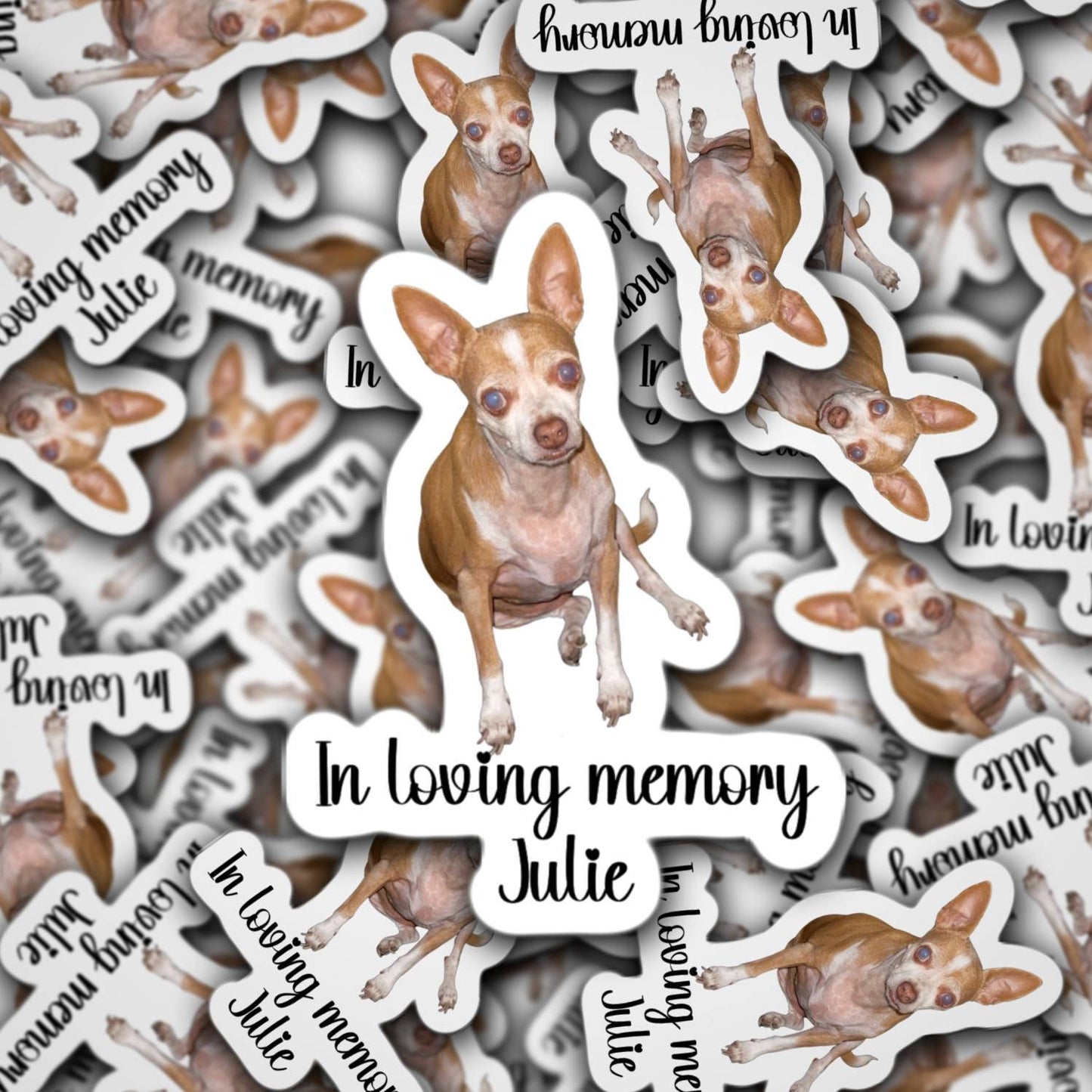 Pet memorial sticker, pet memorial gift, loss of pet, bereavement, pet photo, magnet, in loving memory, Dog sticker, Cat sticker, pet