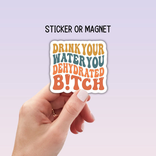 Funny drink water sticker Dehydrated Bitch Water bottle sticker Hydrated Drink more water Hilarious sticker Magnet notebook Tumbler cup gift