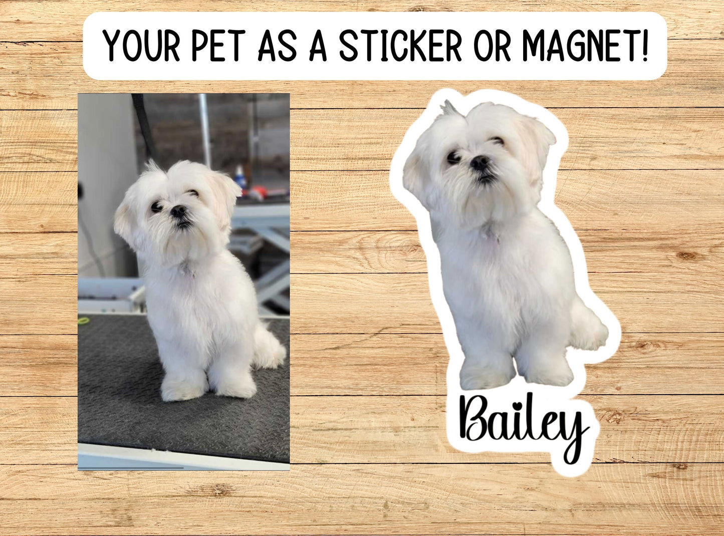 Dog Photo Sticker, Custom Pet Sticker, Custom Dog Stickers, Dog Name Sticker, Personalized Dog Sticker, Dog Stickers, animal, magnet, cat