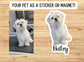 Dog Photo Sticker, Custom Pet Sticker, Custom Dog Stickers, Dog Name Sticker, Personalized Dog Sticker, Dog Stickers, animal, magnet, cat