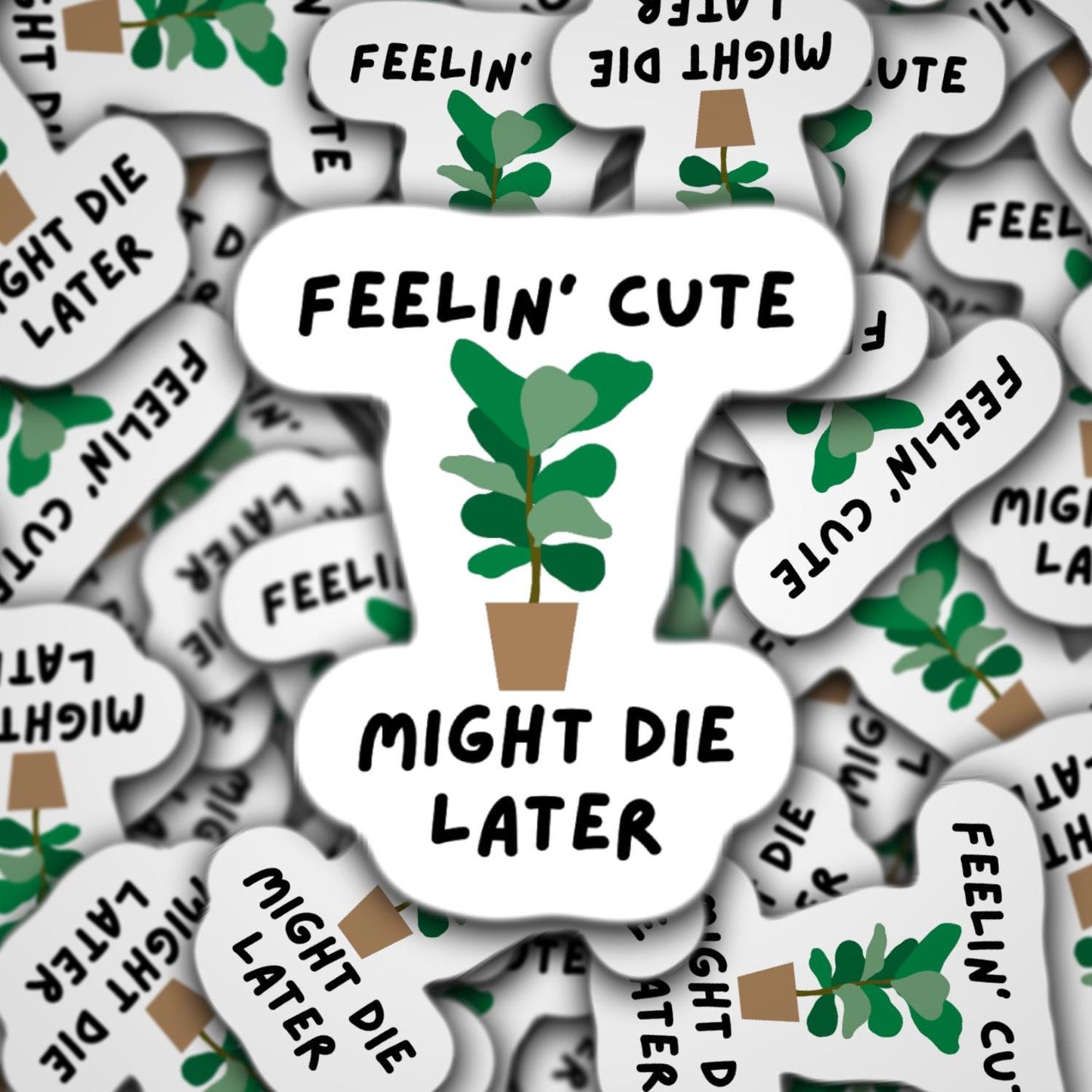 Feelin cute might die later, fiddle leaf fig sticker, funny fiddle leaf fig sticker, plant sticker, plant mom sticker, plant life sticker