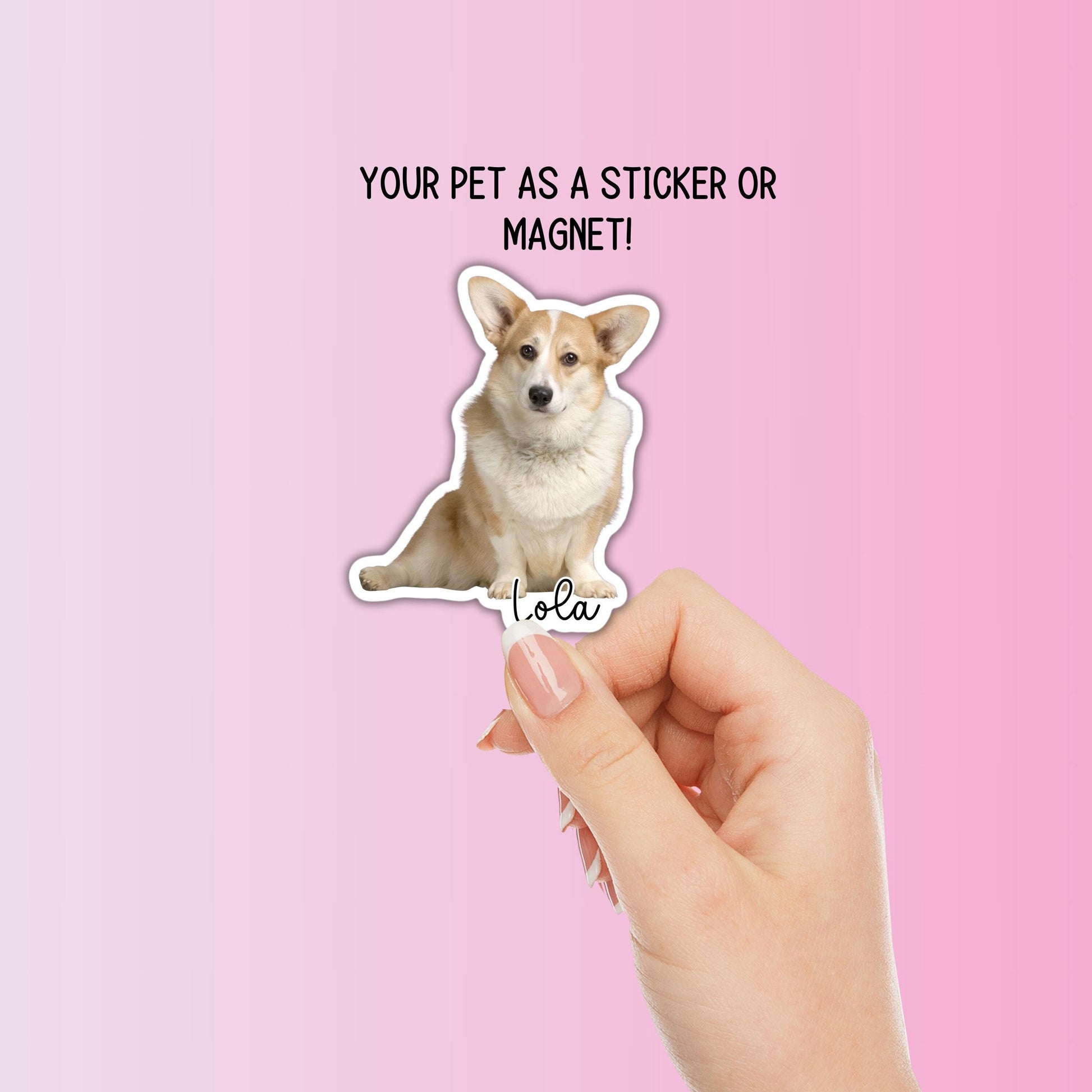 Custom pet photo sticker magnet