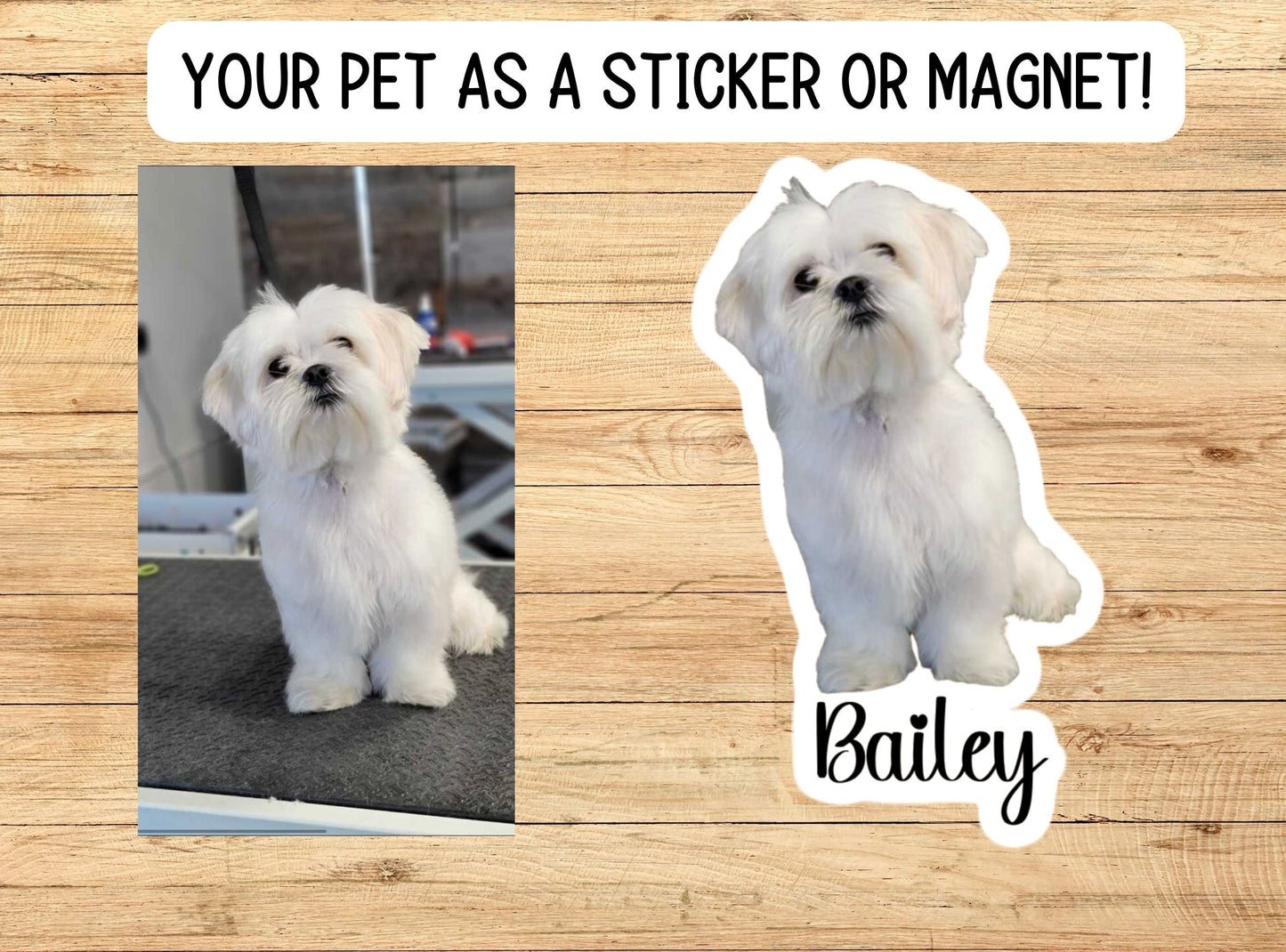 Dog Photo Sticker, Custom Pet Sticker, Custom Dog Stickers, Dog Name Sticker, Cat photo Sticker, Dog Stickers, animal, magnet, cat mom gift