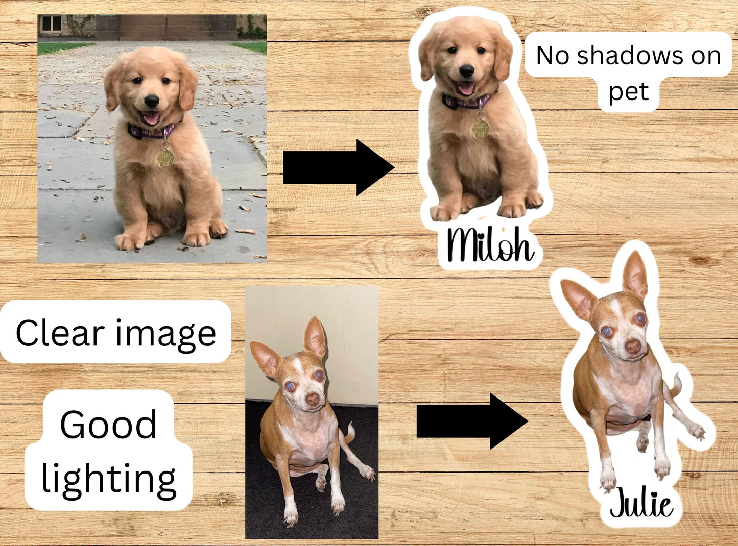 Dog Photo Sticker, Custom Pet Sticker, Custom Dog Stickers, Dog Name Sticker, Personalized Dog Sticker, Dog Stickers, animal, magnet, cat