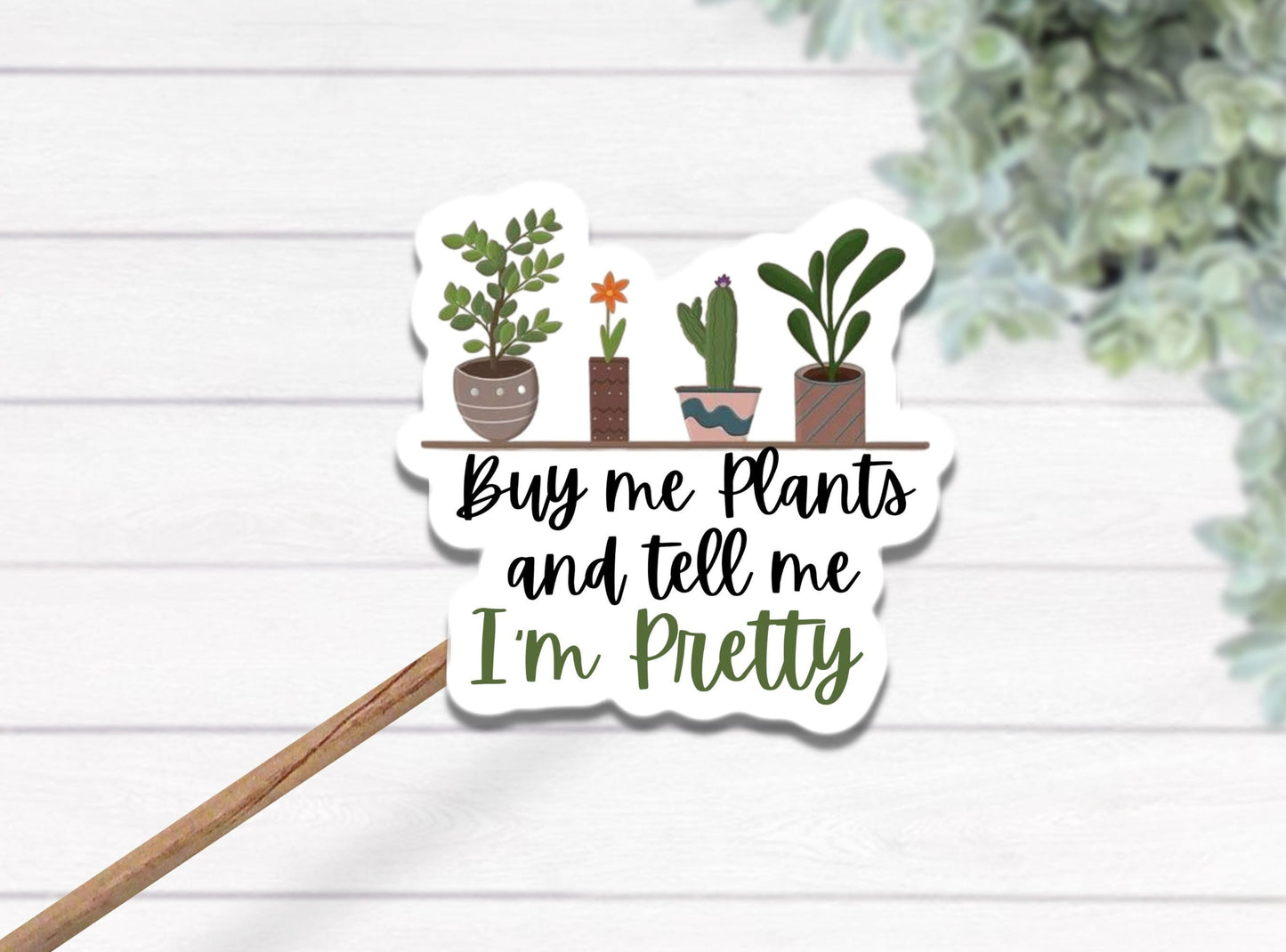 Plant sticker, plant lover sticker, Succulent sticker, water bottle sticker, buy me plants sticker, plant mom, Plant lover gift, gardener